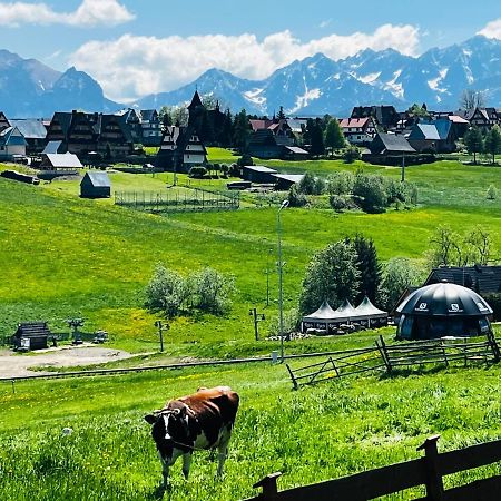 Domki Tatrzanskie Kacina Murzasichle Exterior foto