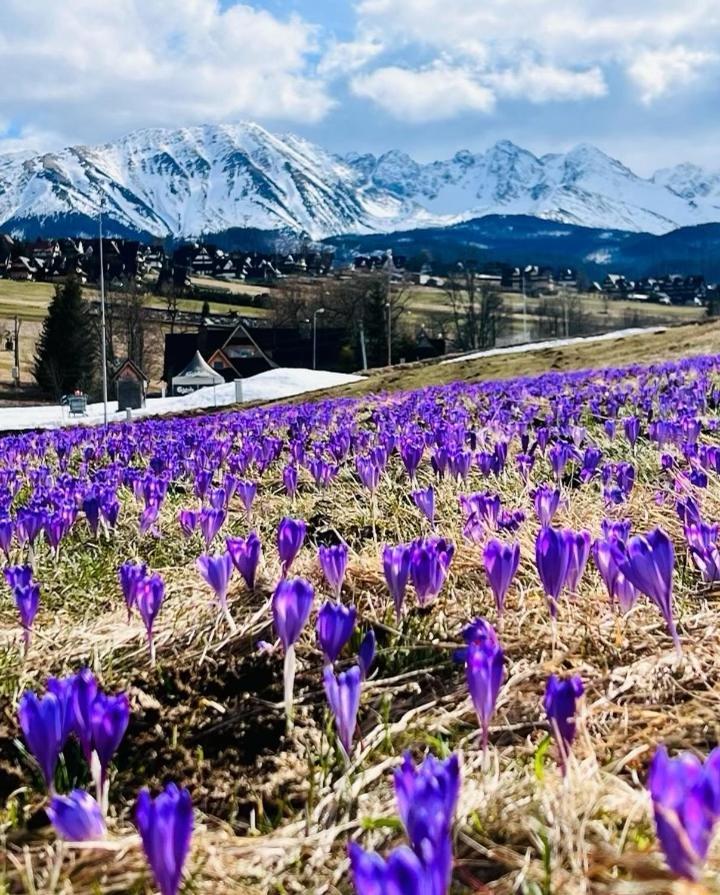 Domki Tatrzanskie Kacina Murzasichle Exterior foto